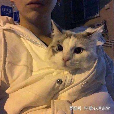 幻想神将游戏