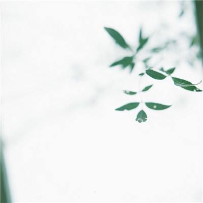 百度91版格斗之皇下载
